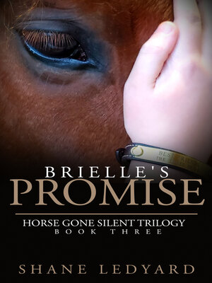 cover image of Brielle's Promise